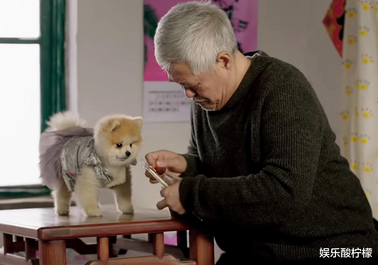 乡村爱情14|苏玉红退出《乡村爱情14》,隔空喊话王长贵,赵本山的小狗火了