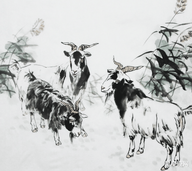 生肖|哪几个生肖,成长迅速,职场菜鸟变干练大神,前途光明