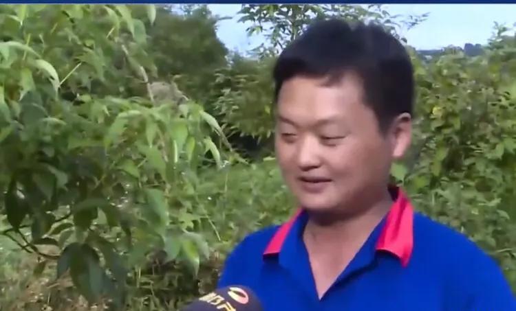 11名群众抓获企图性侵小女孩的男子后,发现男子系B级通缉犯,奖励20万元