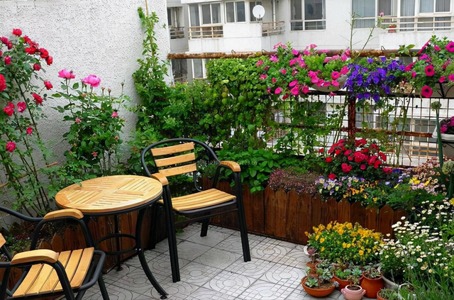 发现一户人家,把阳台改造成花园,犹如置身“小森林”中,很治愈