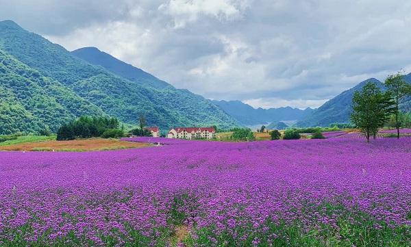 重庆|重庆又一景区走红网络，好耍巴适无套路，被誉为“中国的新西兰”