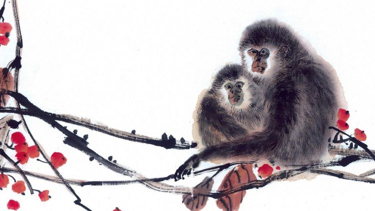 教师|三大生肖，桃花常开不谢，贵人常来常往，走遍职场如鱼得水