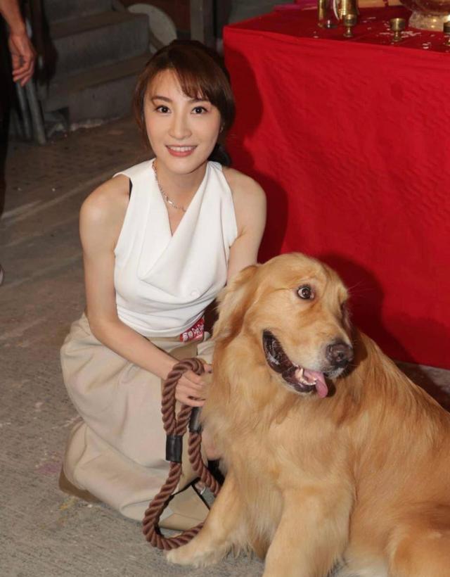 TVB|TVB两大新晋视后隔空对战,同样饰演医生角色,你更喜欢哪边?