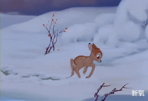 |被捧成“南韩关之琳”的新女团，到底什么是灵气？