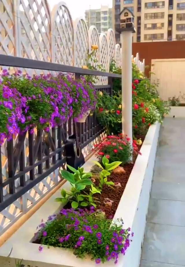 加价30万，买了带露台的房子，自己设计改造成露台花园，太值了