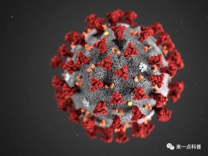 盘点历史上十二种致命病毒(上)