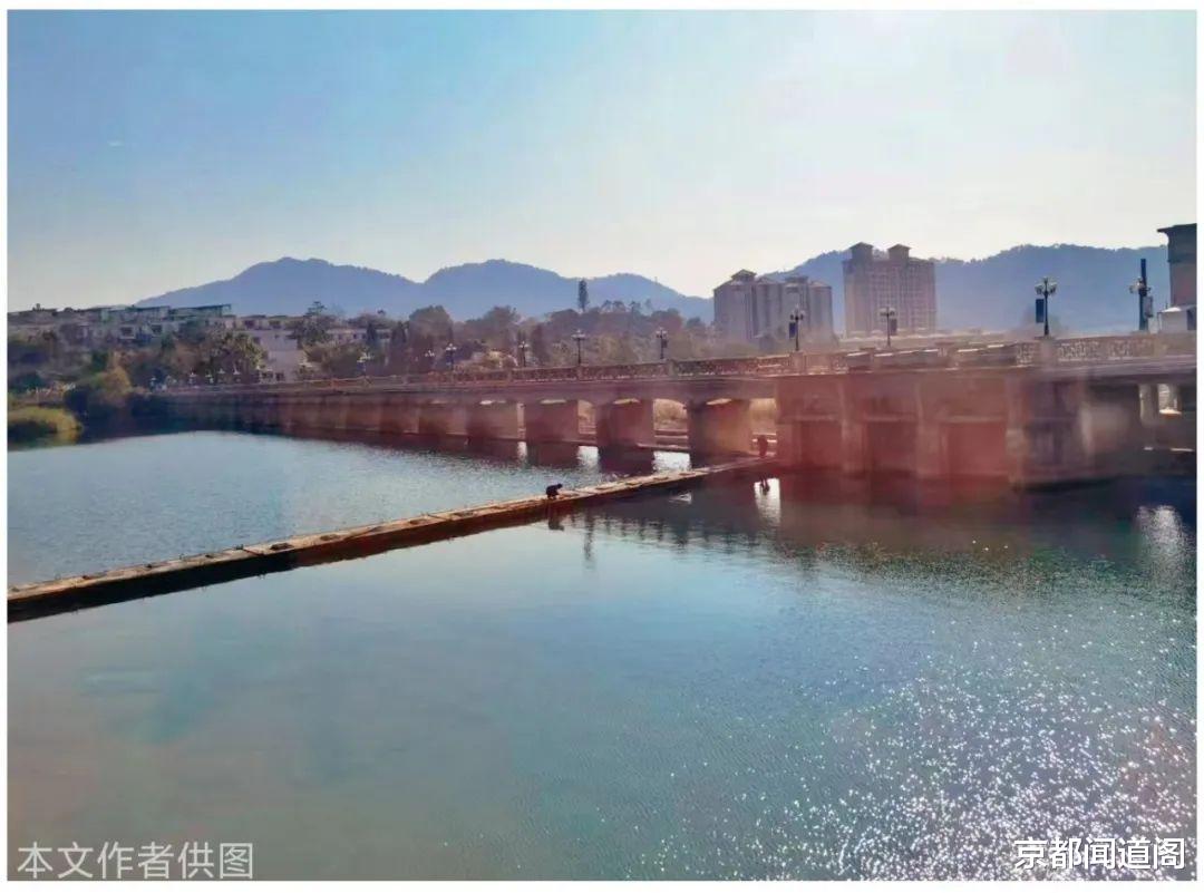 杨花：我与母亲（二）