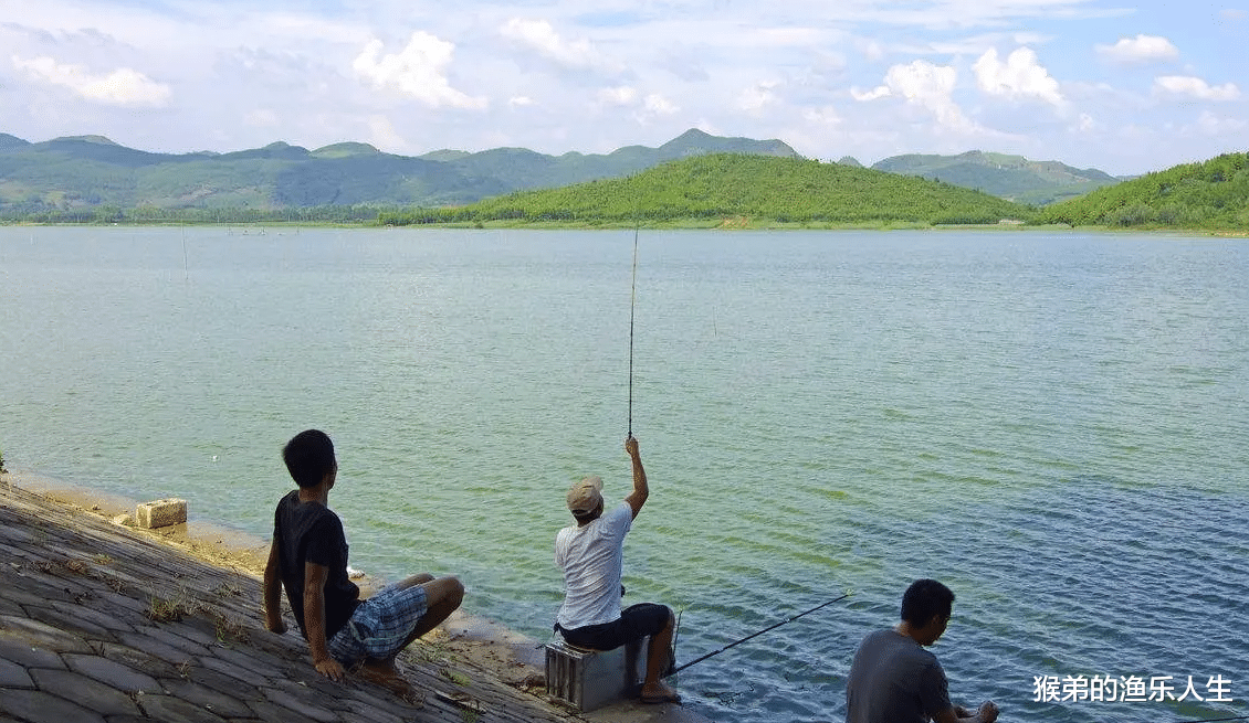 饵料|盛夏野钓,找寻规律作钓更轻松,记住“4钓4不钓”,渔获有保证