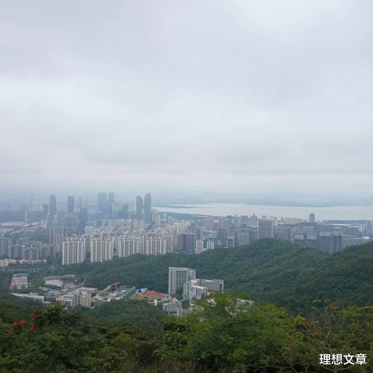 龙虎山|登山去，心静路远人亦稀
