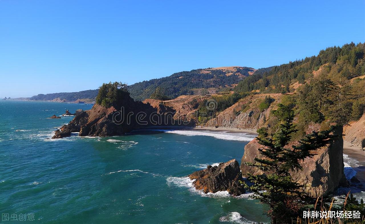 |职场中，不要做“真干活，真不学”的人