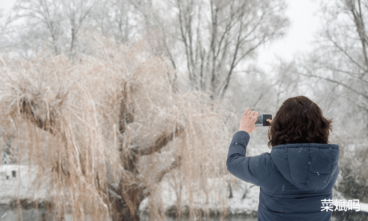 教育培训|54岁大妈坦言:已经退休四年了,不聚会不串门,不求职不打牌,太爽了