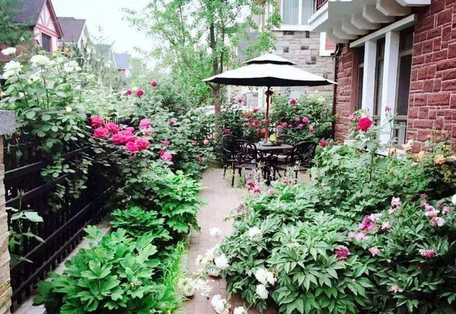 福州|都说一楼带院子好，可以打造小花园，但两年后，那叫一个苦不堪言