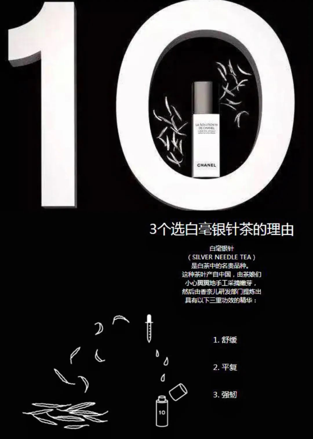 |茶——人在草木间