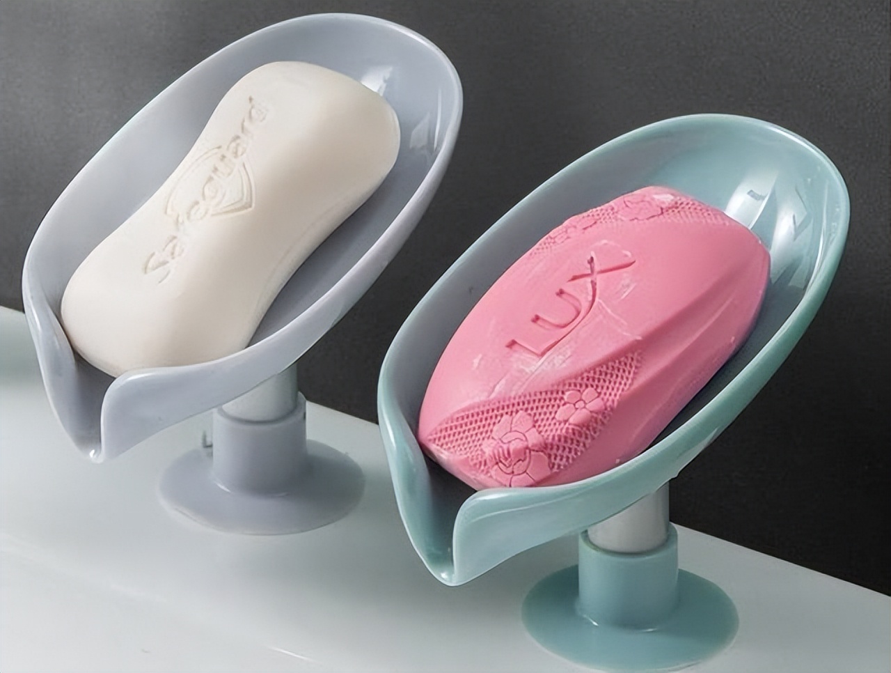 浙江发现一户人家的卫生间,那叫一个先进!拍给大家瞧瞧