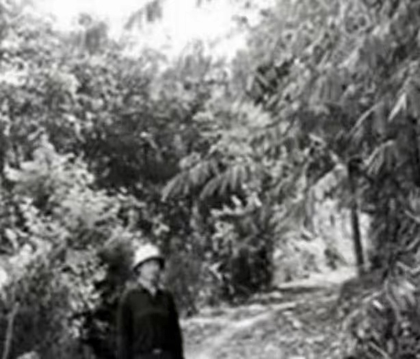 1974年,21岁上海女知青,雨夜上厕所失踪,几十年来都音信全无