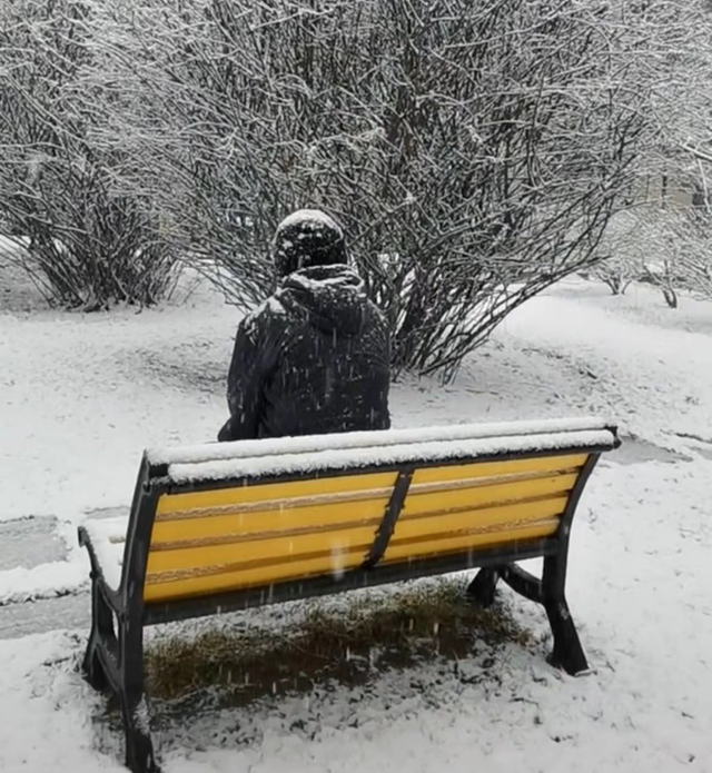 潘长江|64岁潘长江风波后首现身,神情落寞心事重重,身上落满雪背影凄凉