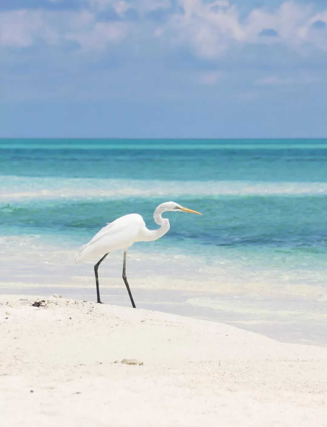 中国公民|只限中国公民进入的海岛,真正的0污染天堂,完胜马尔代夫!