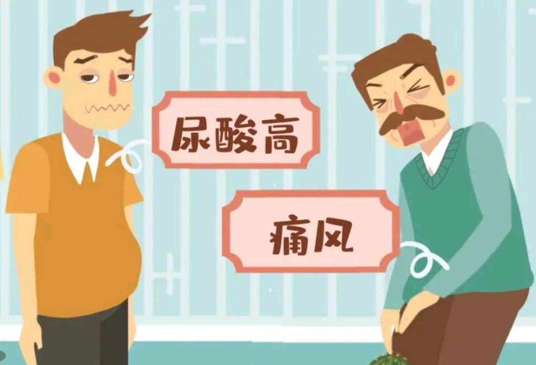 高血压|尿酸高对身体有什么危害?日常想要降尿酸,请记好这3点