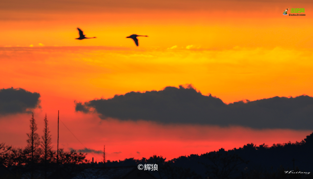 自驾|抓住暑假的尾巴！这14个最佳避暑目的地，景美人少不扎堆