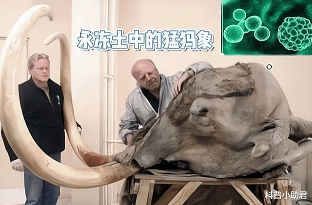 科学家有多疯狂?为了长生,自己注射350万年前的细菌