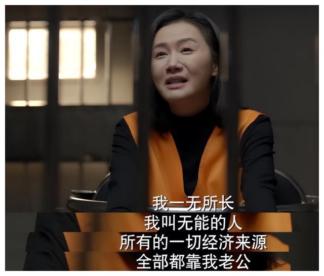 全职太太|来了,中国版的《傲骨贤妻》