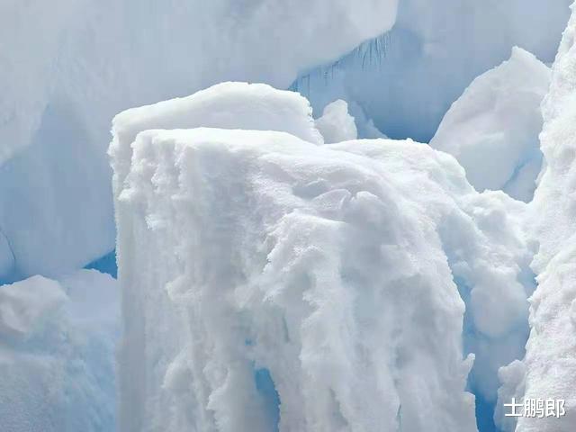 北极温度超30℃穿短袖！冰川融化、全球热浪，人类面临灭绝威胁？
