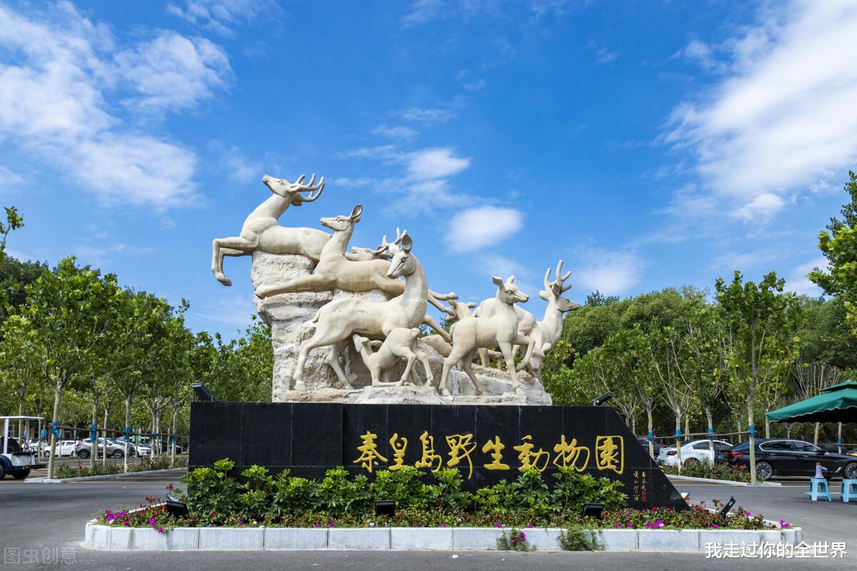 董宇辉|董宇辉告诉我们：只要有才华，命运之光总会照在你身上