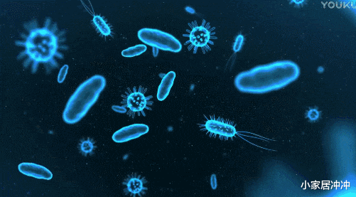 洗衣机用完开盖还是“关盖”?多亏保洁阿姨提醒,原来我一直做错