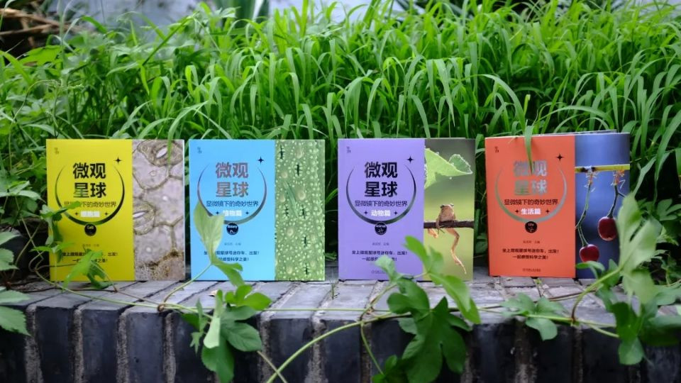 不需要显微镜，这套书就能带你看不一样的微观世界