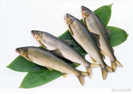 立夏到,补夏有讲究,食2肉2菜,喝2茶,忌2事,健康过夏天