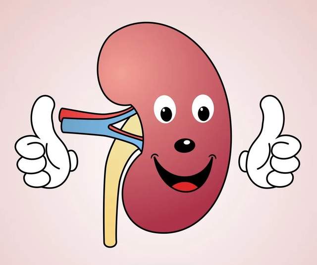 补肾|补肾≠壮阳?补肾的这几大误区,快看看你中了几个!