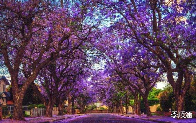 迷失方向|潜意识里,你会因为什么事情,而一度迷失方向|明7啨心理