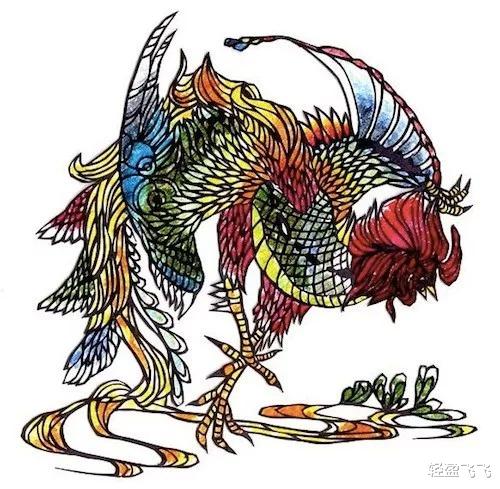 世界上尾巴最长的鸡,最长纪录12.5米