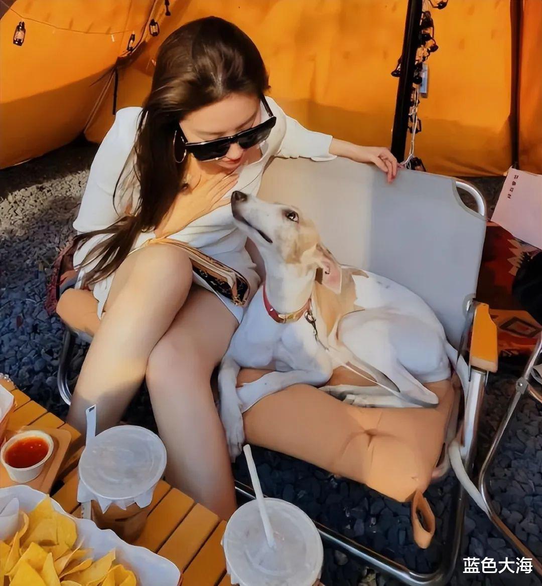 刘亦菲|刘亦菲的腿，绝了