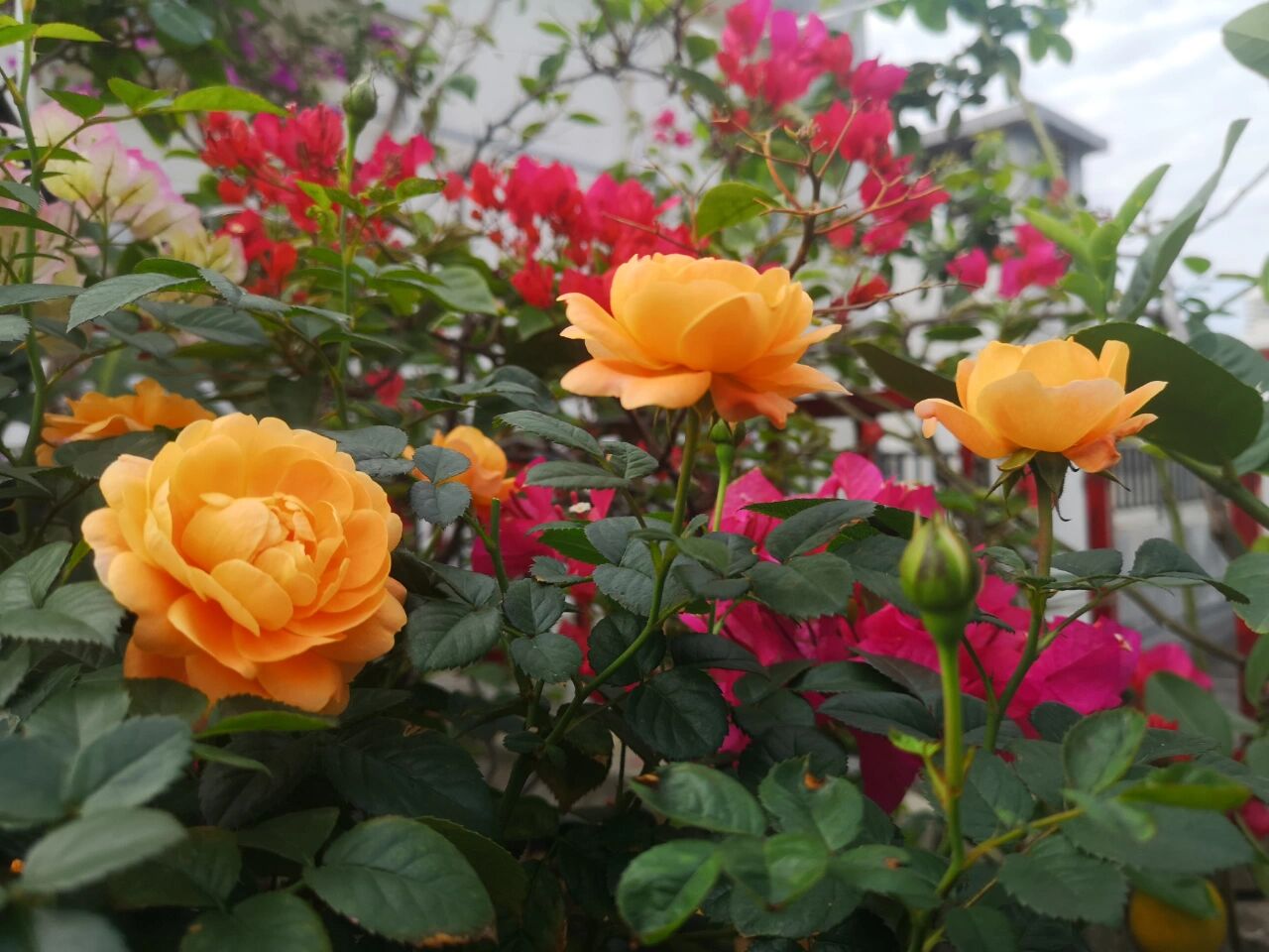 50㎡露台花园布置，分享露台改造避坑指南，希望能给你们一些灵感