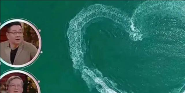 陈乔恩|《女儿们的恋爱2》:4对明星恋人,4种不同的爱情结果