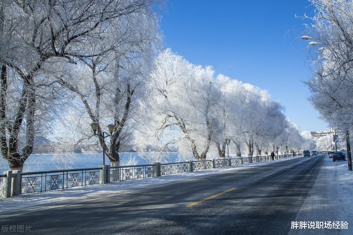 职场故事|职场中，表达谢意的时候要记住四个要点