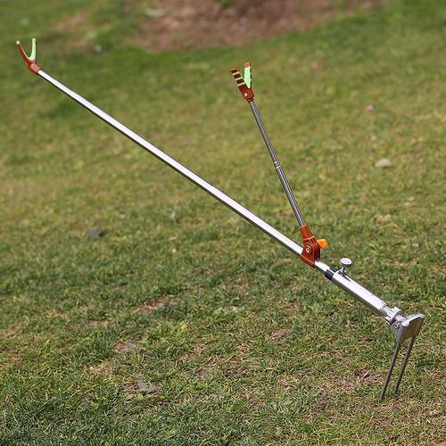 饵料|钓鱼穷三代,钓鱼真的费钱吗?