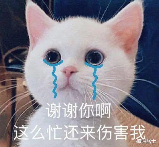 刘晓庆|长腿女明星是如何哄骗富商掏钱的？