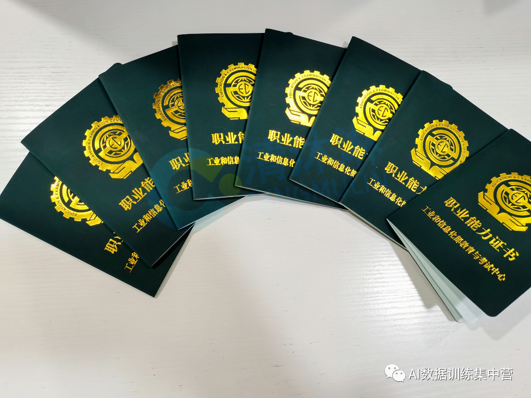 印度|想要做AI训练师人才孵化，数据标注员可以吗？