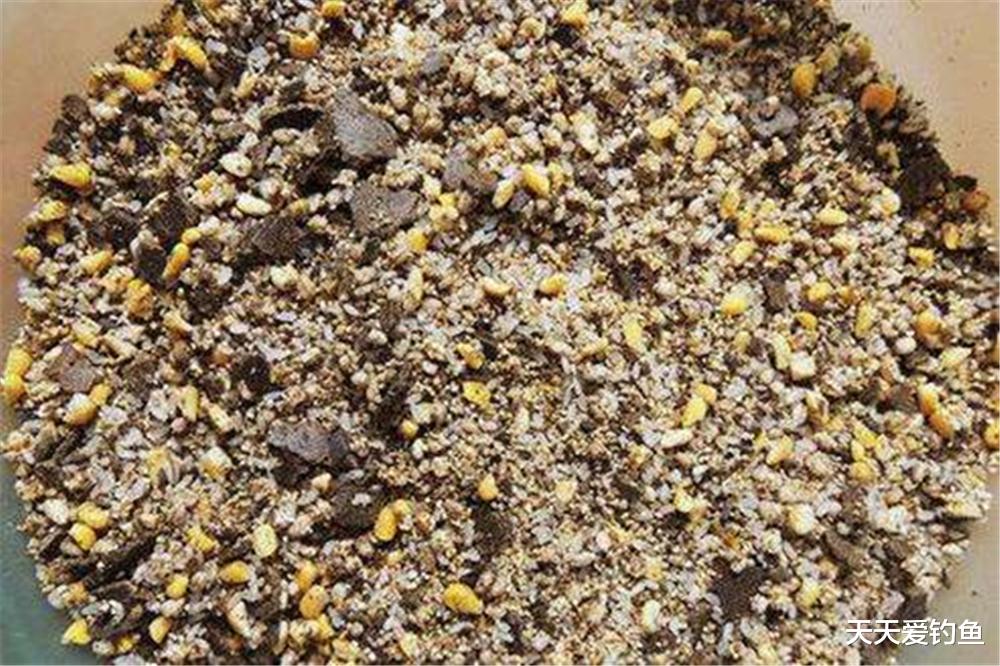 成都|早春鲫鱼不爱动，聚鱼依然是难点！做好这4个步骤，鲫鱼排队进窝