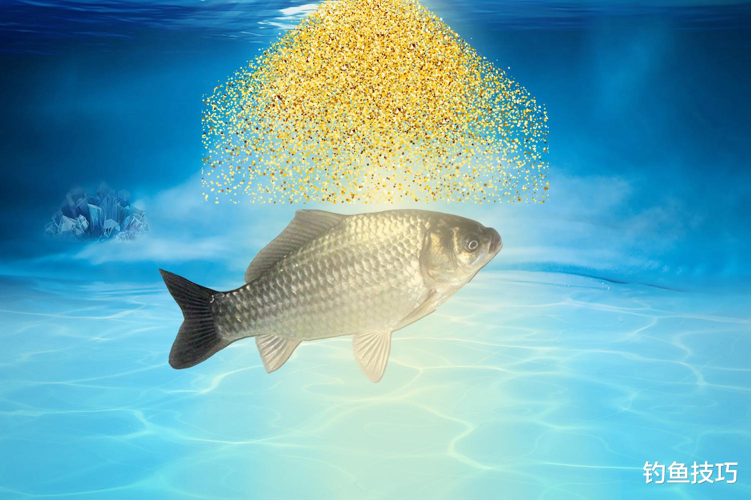 |声音对钓鱼有多大的影响?详解各种声音对钓鱼的真实影响