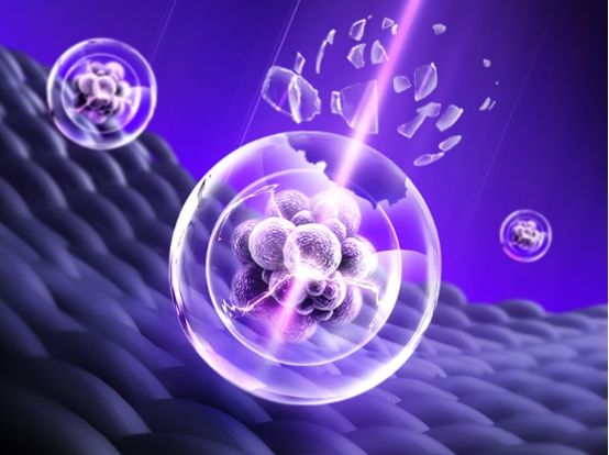 如何挑选烘干机?想不花冤枉钱,你得关注这5点!