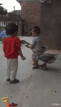 “女友闺蜜喊我去唱歌,穿成这样谁顶得住啊?”兄弟忍住!