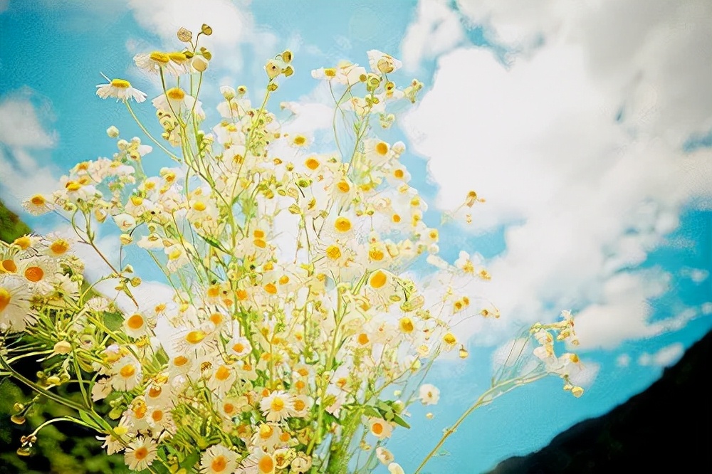 退休|年过五十，不管有钱没钱，都要少跟以下几种人联系，没意义