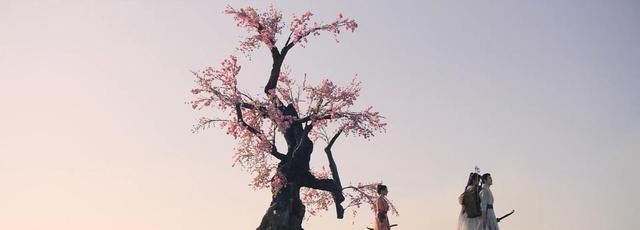 武侠剧|第一二集差口气，第五集封神，《说英雄谁是英雄》真的稳了