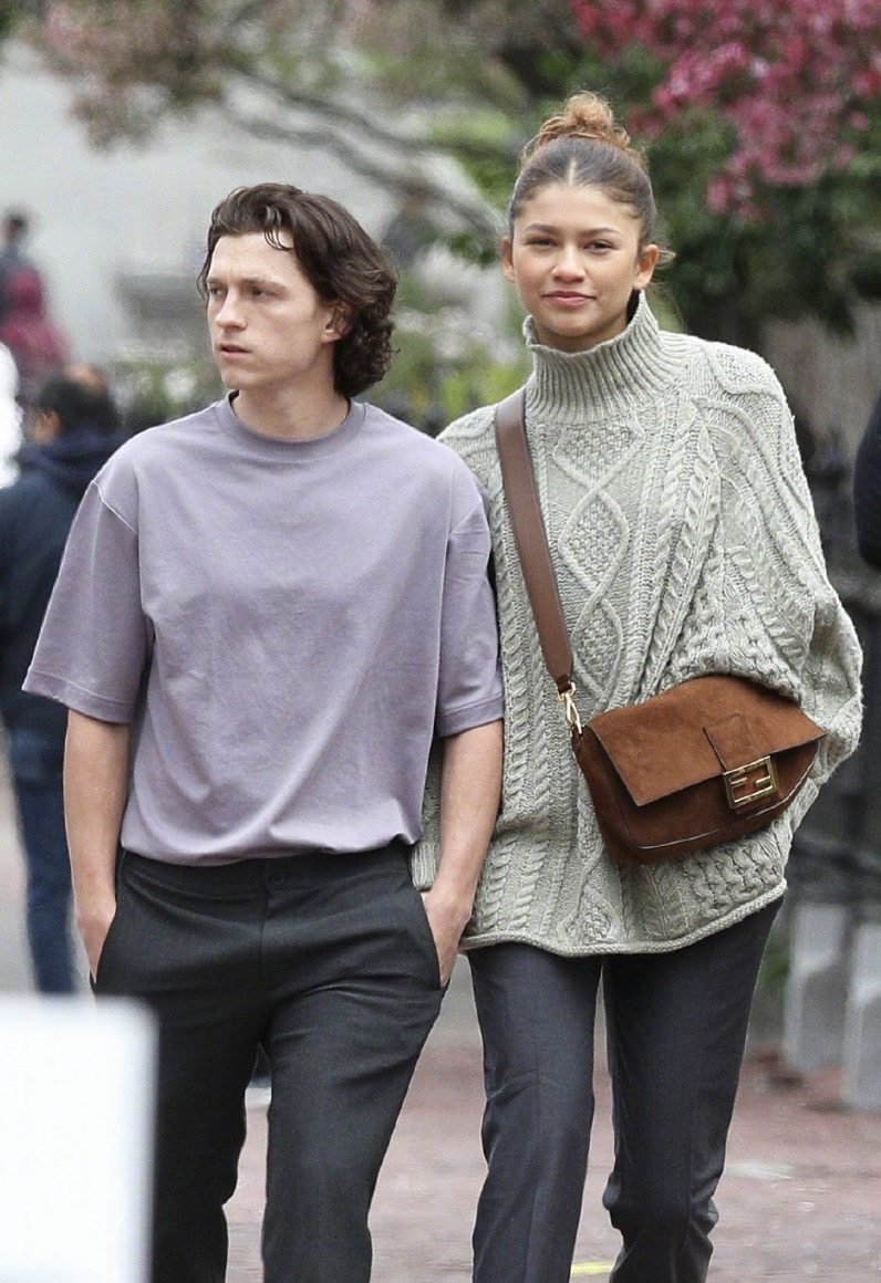 赞达亚|外媒曝荷兰弟与赞达亚订婚，女方系《蜘蛛侠》女主，已见过双方父母