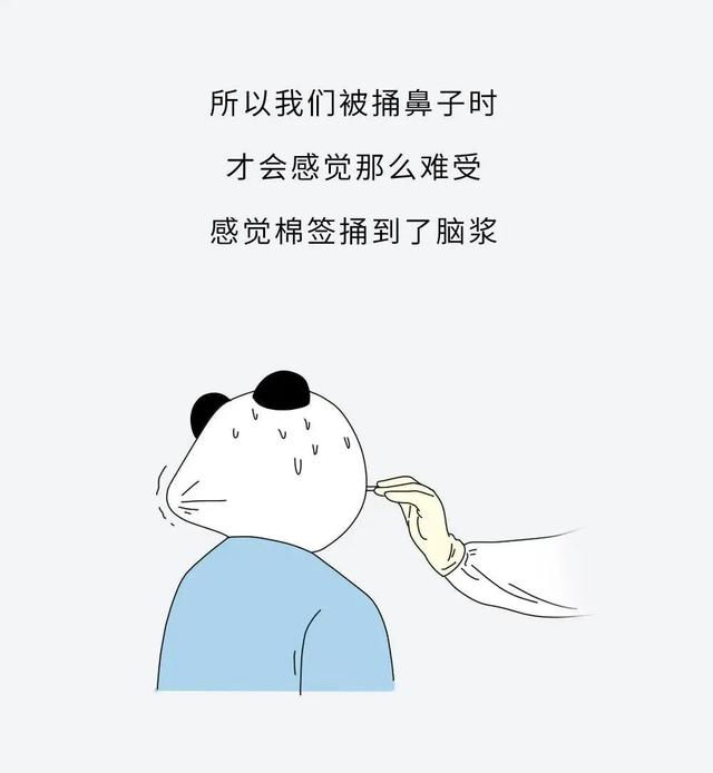 做了那么多次核酸,终于知道捅的是哪里了!