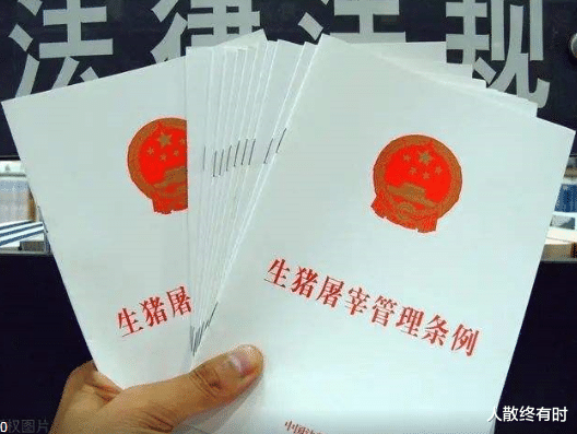 64岁湖南大爷过年杀猪,还没卖出就被没收,还要交4万罚款