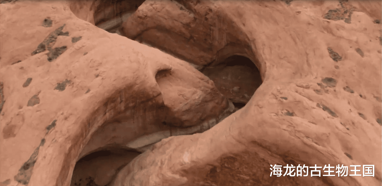异特龙击败角鼻龙统治北美!然而它却无法适应侏罗纪末期气候变化!